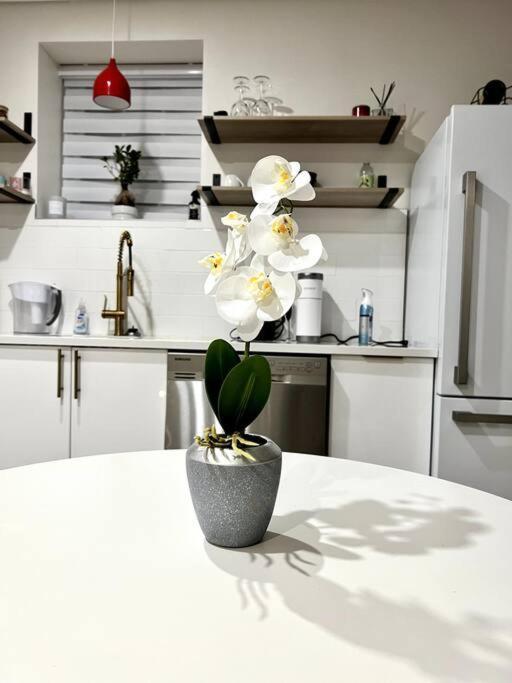 Luxury And Cozy 1 Bed Condo In The Heart Of Πρόβιντενς Εξωτερικό φωτογραφία